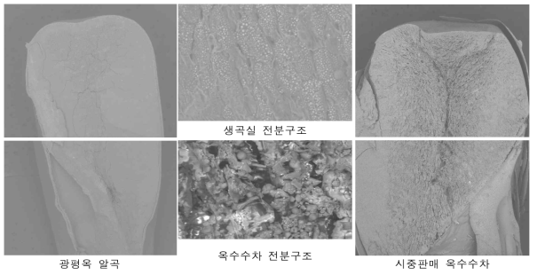 옥수수 알곡, 옥수수차의 전분구조 비교