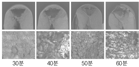 250℃에 볶음시간 별 광평옥 종실 비교