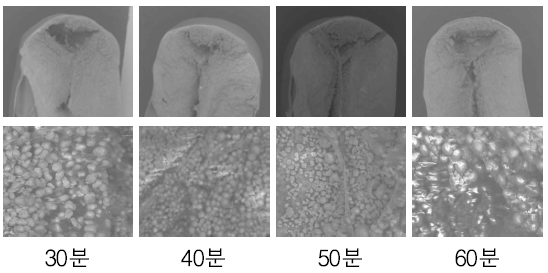 220℃에 볶음시간 별 광평옥 종실 비교