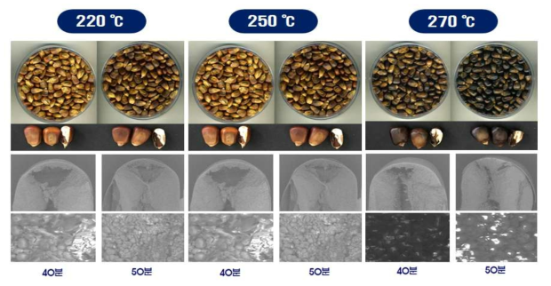 옥수수 볶음 온도별 전분구조 변화