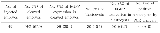 Expression of GFP and the first PCR analysis in bovine blastocysts after microinjection of two sgRNA RG1 bBCE3 HIL11 GFP (-DT)K1 Vector I into cytoplasm of in vitro fertilized embryos