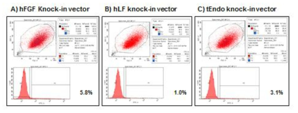 Cell sorting and FACS analysis of knock-in Mac-T cell