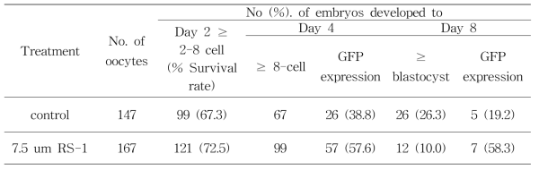 In vitro development of bovine hFGF knock-in IVF embryos and GFP expression with or without RS-1