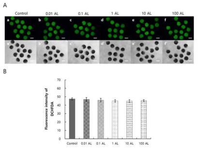 Effects of different concentrations of AL on the ROS level in porcine oocytes during IVM. All groups were stained with DCHFDA following maturation (A). The ROS level was determined by quantifying the fluorescence intensity of MII porcine oocytes in each group (B)