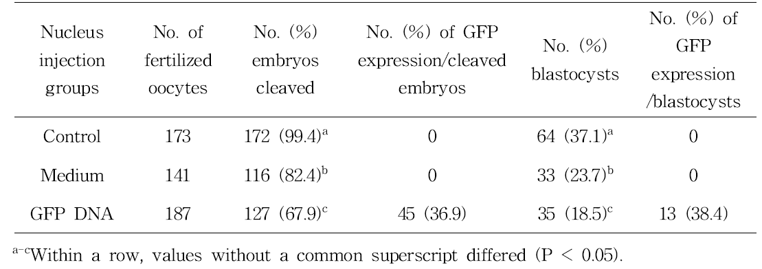 Expression of GFP and development of bovine embryos after microinjection of GFP DNA into pronucleus of in vitro fertilized embryos