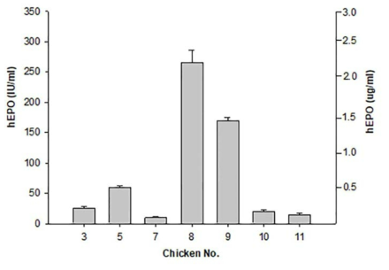 ELISA analysis of G0 LNC-hEPOW transgenic chickens