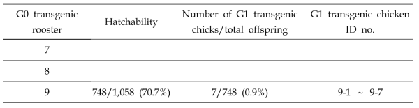 Germline transmission rates from G0 founder roosters