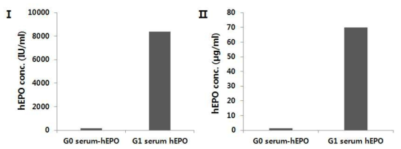 Comparison of serum-hEPO concentration in G0 and G1 transgenic chickens by ELISA analysis. The levels of hEPO secreted into the blood taken from 8 week-old chicks were measured by ELISA as described in the materials and methods. The data were obtained from experiments performed in triplicate and are presented as the mean ±SD