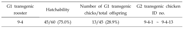 Germline transmission rates from G1 founder roosters