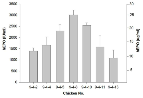 Expression of the hEPO gene in G2 transgenic chickens. The levels of hEPO secreted into the blood taken from 2 month-old chickens were measured by ELISA. The data were obtained from experiments performed in triplicate and are presented as the mean ±SD