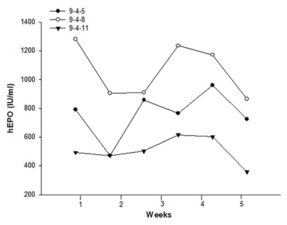 Expression of the hEPO gene in egg white from LNC-hEPOW G2 transgenic chickens. The levels of hEPO secreted into the egg-white of 25 - 29 week-old chicken measured by ELISA. ●, ○ and ▼ indicate hEPO concentration in egg-white of 9-4-5, 9-4-8 and 9-4-11, respectively