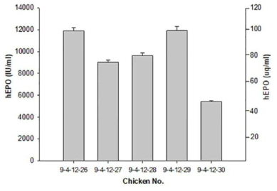 Expression of the hEPO gene in G3 transgenic chickens. The levels of hEPO secreted into the blood taken from 3 month-old chickens were measured by ELISA. The data were obtained from experiments performed in triplicate and are presented as the mean ±SD