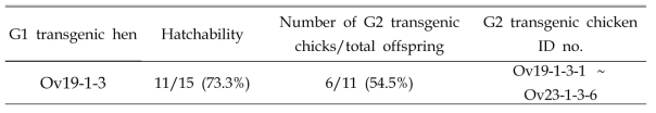 Germline transmission rates from G1 founder roosters