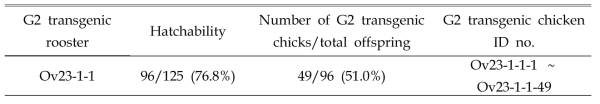 Germline transmission rates from G1 founder roosters