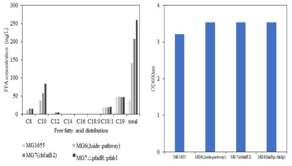 ChFatB2를 이용한 지방산의 생산 확인