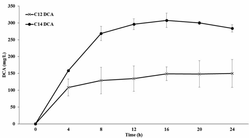 C12 DCA와 C14 DCA 생산량