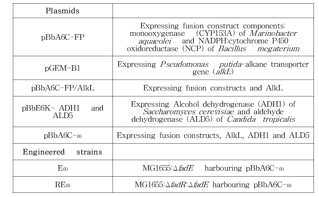 본 연구에 사용된 벡터 및 균주