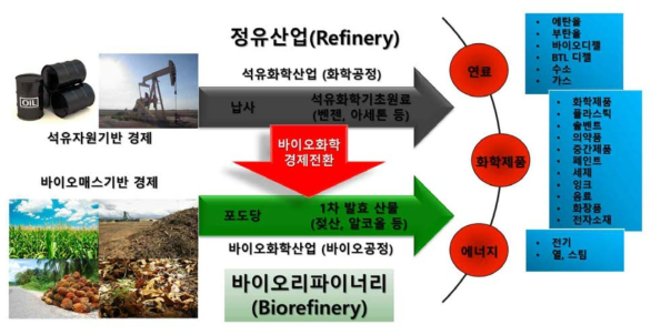 바이오화학산업(바이오리파이너리)