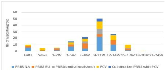 Regional Distribution of PRRS, PCV2 Ag positive farm
