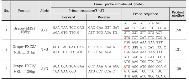 포도의 병저항성 관련 SNP 검증에 이용된 Luna probe 정보