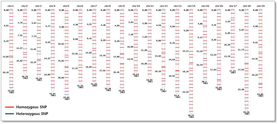 Fluidigm용 대표 SNP(438개)의 염색체 별 위치