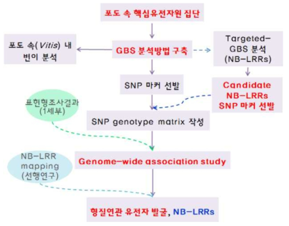 핵심집단 기반 GWAS 및 타겟 병저항성 연관 유전자 발굴