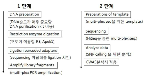 GBS 라이브러리 구축 및 분석 방법