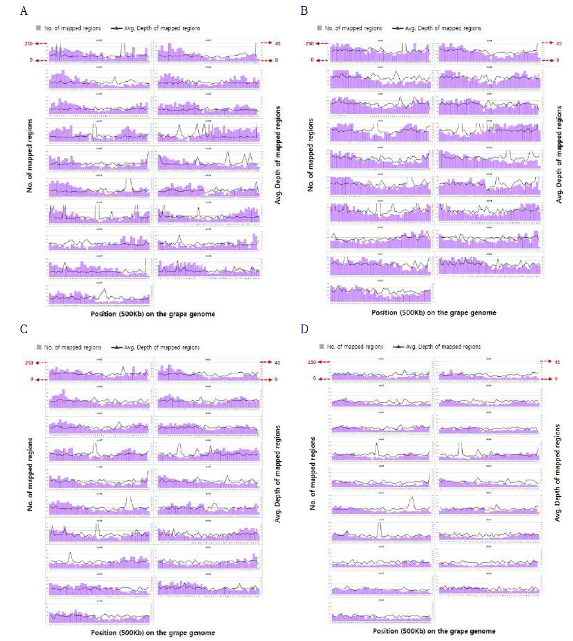 대표적인 GBS Library의 reference mapping 분포도 GBS read들이 genome내에 균일하게 분포하는지를 확인하기 위해 임의로 4개의 샘플을 선정하여 분 포도를 확인함. A : GBS 1차_ AAAACTT ‘B55 (GVIT0272)’, B : GBS 2차_ TAGGAA ‘Battir’, C : GBS 3 차_ GTCGATT ‘Cabernet Sauvignon’, D : GBS 4차_ AGGC ‘Bellino’