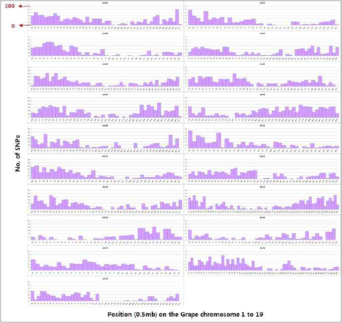 77,126좌에 대한 염색체 별 SNP 분포도