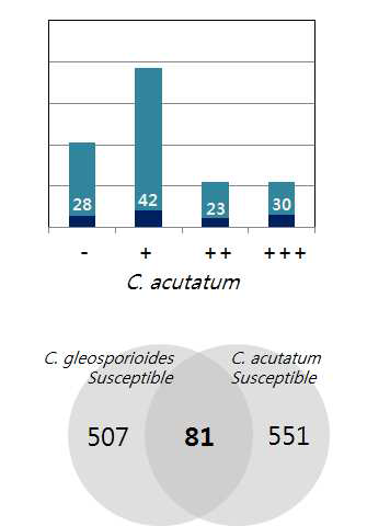 C. acutatum 형질 값에 대한 분포(아래) 및 핵심집단 선발 품종 수 (위): 포도자원 884점에 대한 비교