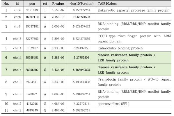GAPIT을 통해 선발된 C. gloeosporioides 저항성과 관련된 유전자좌의 정보
