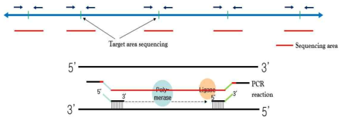 Targeted sequencing을 이용한 라이브러리 구축