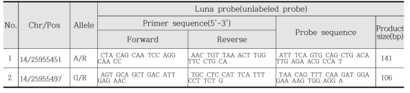 SNP 검증에 사용된 primer 및 probe 서열
