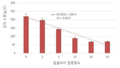 잎굴파리 접종밀도별 감자 수량성(g/주)