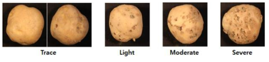 감자더뎅이병 발병지수 평가방법