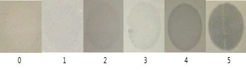 Degrees of bacteria cell lysis classified by clearness of plaques