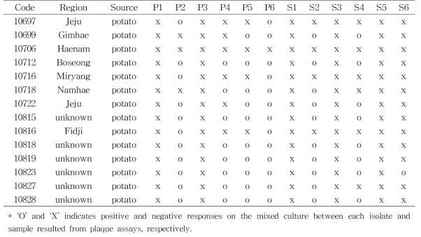 Infectivity of diverse samples against different isolates of Ralstonia solanacearum identified by plaque assays