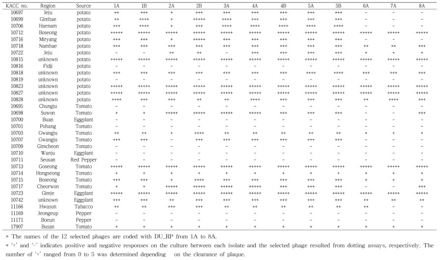 Infectivity of the 12 selected phages against 33 different isolates of Ralstonia solanacearum identified by the dotting assay