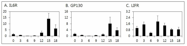 발정주기 동안 자궁내막 내 IL6R, GP130, LIFR mRNAs의 발현분석