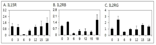 발정주기 동안 자궁내막 내 L15R, IL2RB, IL2RG mRNAs의 발현분석