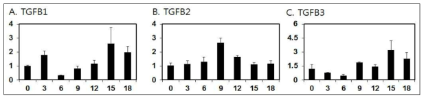 발정주기 동안 자궁내막 내 TGFB1, TGFB2, TGFB3 mRNAs의 발현분석
