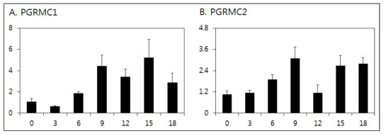 발정주기 동안 자궁내막 내 PGRMC1 및 PGRMC2 mRNAs의 발현분석