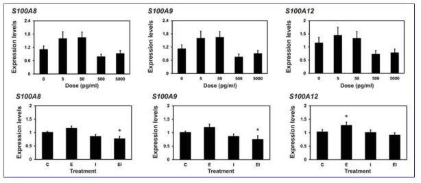 Effect of increasing doses of estradiol on endometrial S100A8, S100A9, S100A12 expression (top) and effect of estrogen receptor blocker on S100A8, S100A9, S100A12 expression in the uterine endometrial explants