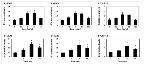 Effect of increasing doses of progesterone on endometrial S100A8, S100A9, S100A12 expression (top) and effect of progesterone receptor blocker on S100A8, S100A9, S100A12 expression in the uterine endometrial explants