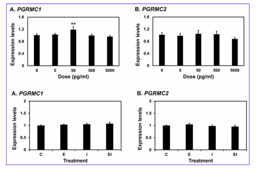 Effect of estrogen on PGRMC1 and 2 expression in the uterine endometrium in pigs