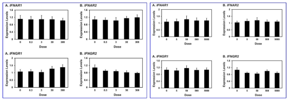 Effects of estrogen (left) and progestrone (right) on IFNAR1, IFNAR2, IFNGR1, IFNGR2 in the uterine endometrial tissue explants in pigs