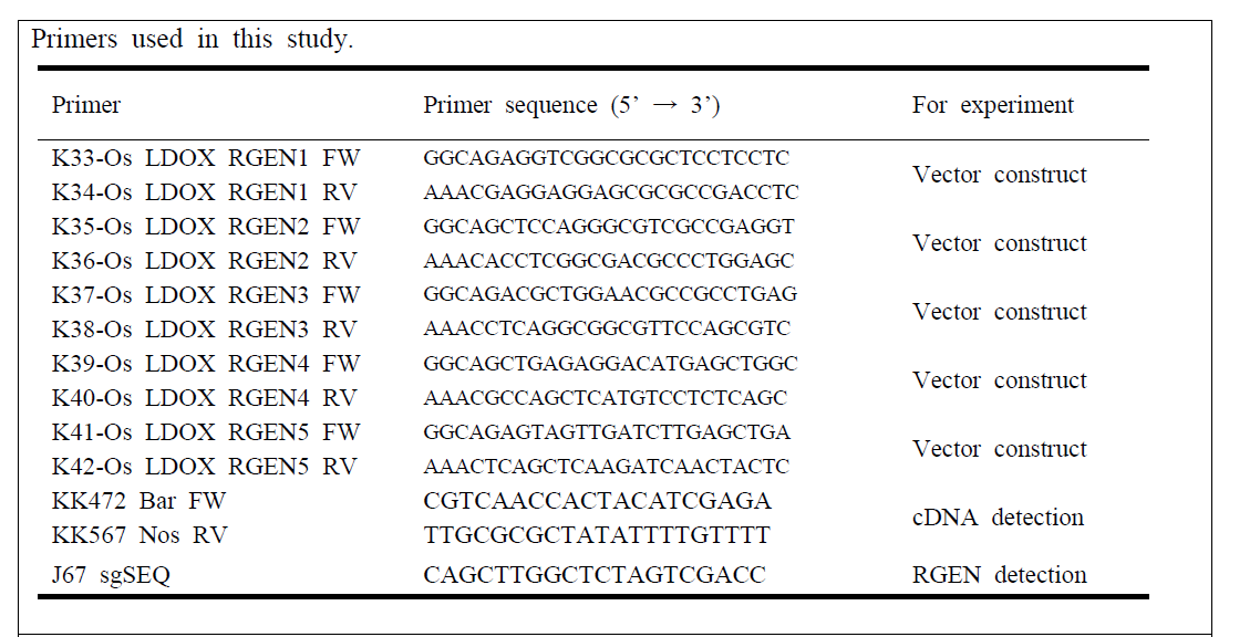 CRISPR/Cas9 vector 구축 및 형질전환체 확인을 위한 primers