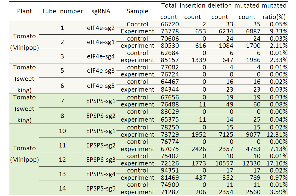 토마토 eIF4e 또는 EPSPS 유전자 형질교정 목표 RNP 도입 및 변이율]