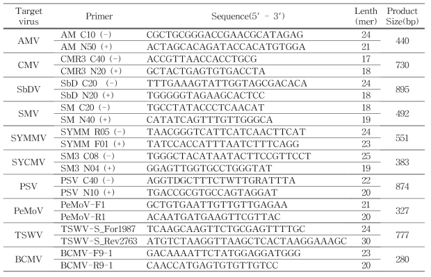 바이러스 RT-PCR 진단에 이용한 프라이머 조합