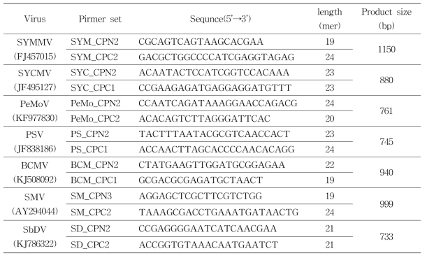 바이러스에 따른 coat protein (CP) 유전자 증폭 프라이머 조합